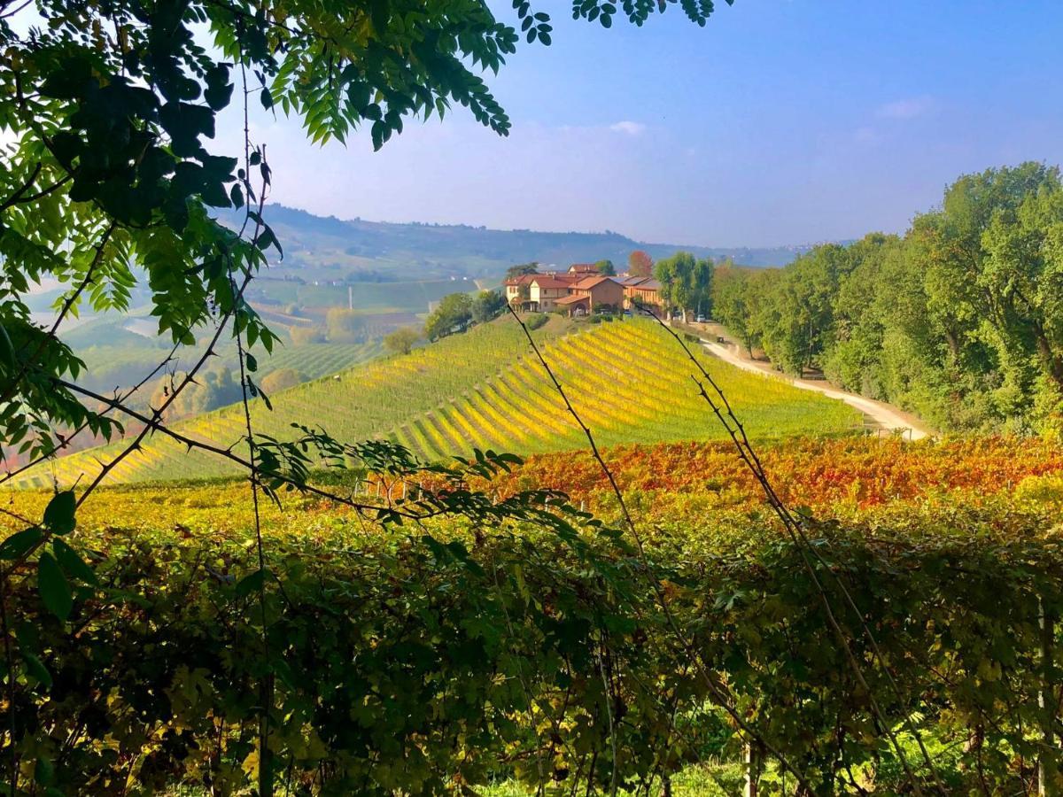 كاستيغليوني فاليتو Tenuta Montanello B&B المظهر الخارجي الصورة
