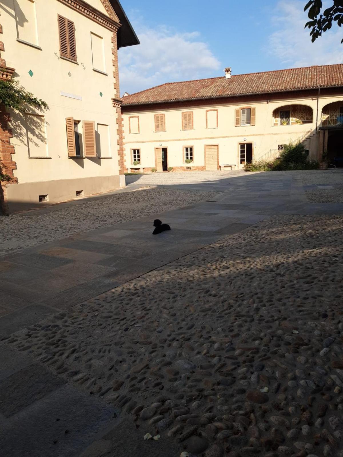 كاستيغليوني فاليتو Tenuta Montanello B&B المظهر الخارجي الصورة